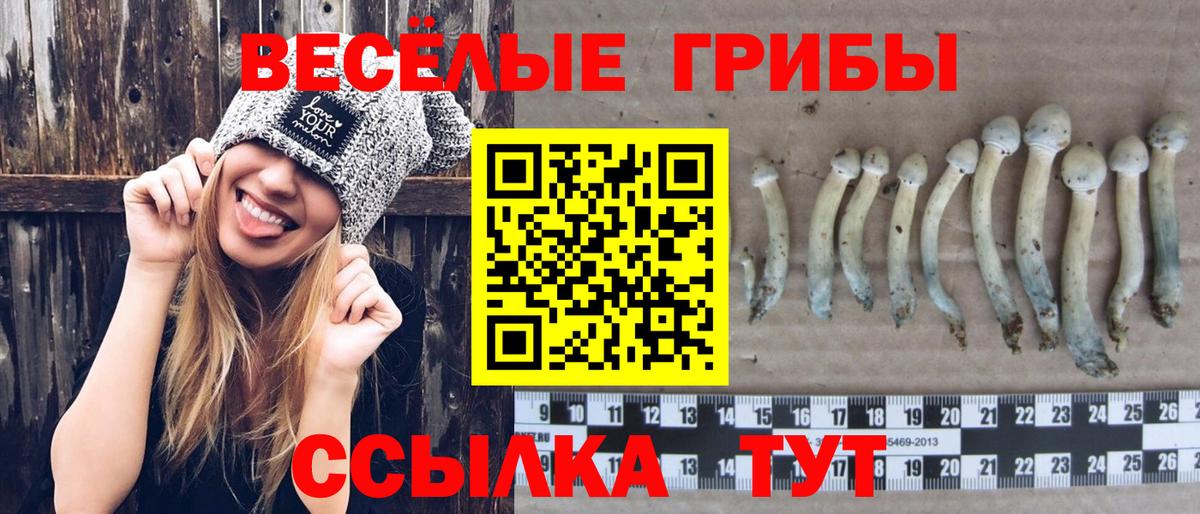 Галлюциногенные грибы Cubensis Ачхой-Мартан