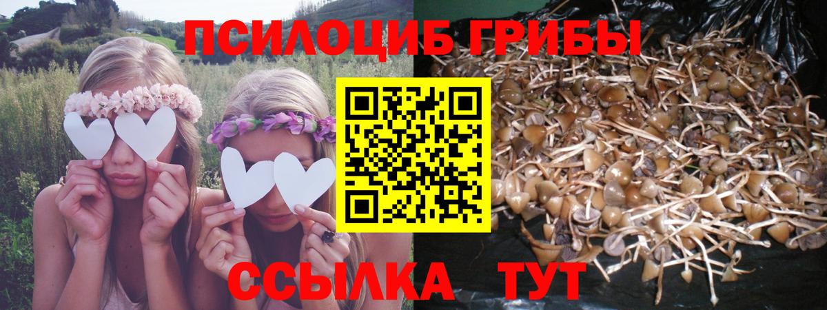Галлюциногенные грибы мухоморы  Вход с VPN  Ачхой-Мартан 