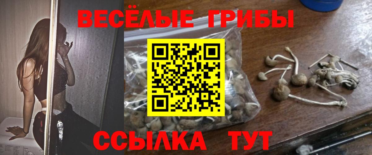 Псилоцибиновые грибы Psilocybine cubensis  Ачхой-Мартан  Галлюциногенные грибы мухоморы 