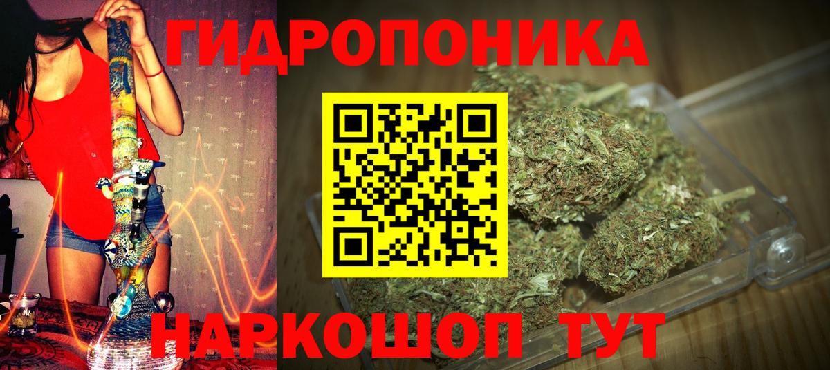 Бошки Шишки марихуана  Ачхой-Мартан  Каннабис Amnesia  Марихуана MAZAR 