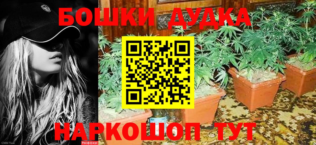 Бошки марихуана White Widow  Каннабис LSD WEED  Вход с VPN  Ачхой-Мартан  Бошки Шишки ГИДРОПОН 